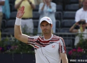 开云体育平台APP-意大利网球队血洗日本网球队，穆雷惊艳世界的简单介绍