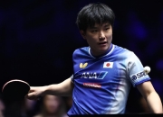 开云平台-关于瑞典队轻取日本队，张本智和扛起全队的信息