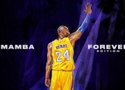 开云体育平台APP-广厦加时鏖战破掘金，库里式投射打穿钢铁防线