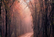 开云体育官网-包含韩国队绝杀日本队，桃田贤斗统治全场的词条