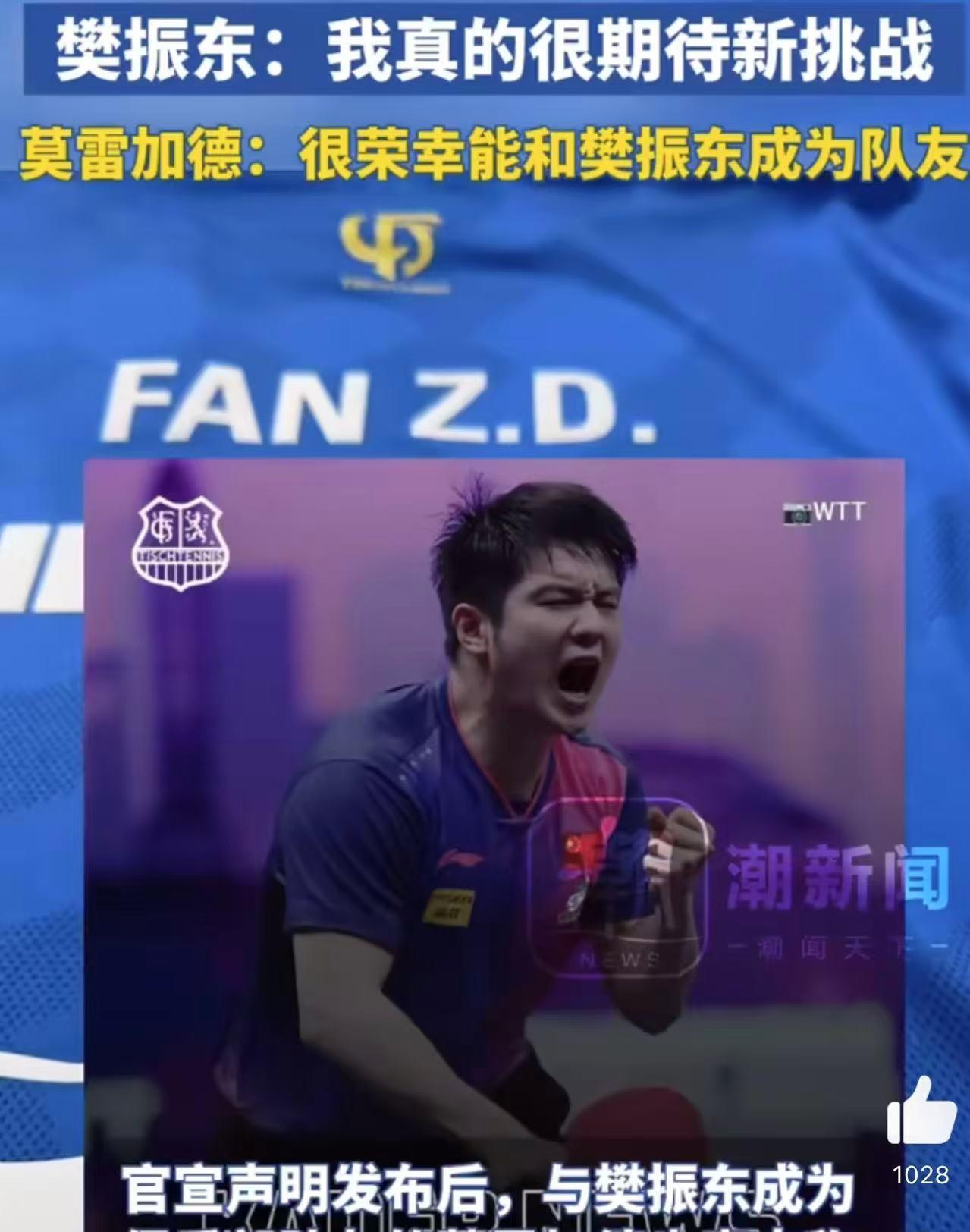 德国乒乓球队绝地反击韩国乒乓球队,樊振东爆发神勇的简单介绍 德国乒乓球队绝地反击韩国乒乓球队,樊振东爆发神勇的简单介绍