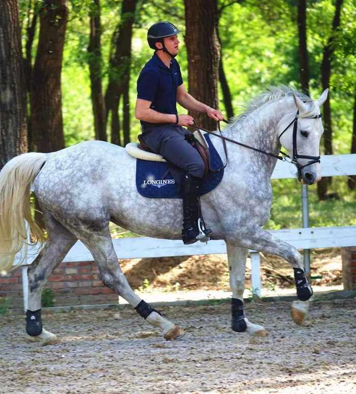 罗瑟汉姆拼凯文茨,臂法高低 罗瑟汉姆拼凯文茨,臂法高低